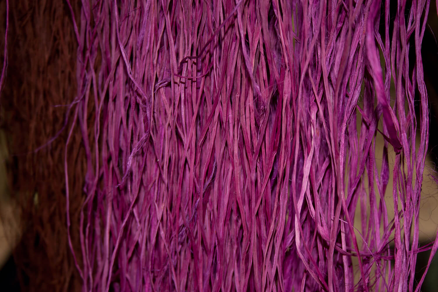 CHOKANARY 11_galeria _MG_2530.jpg